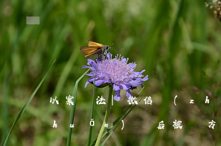 以案釋法 | 微信轉(zhuǎn)賬轉(zhuǎn)錯后被對方拉黑，該如何要回自己的錢？